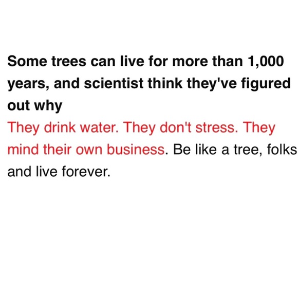 Meet your Posher, Pam - Picture 6 of 16